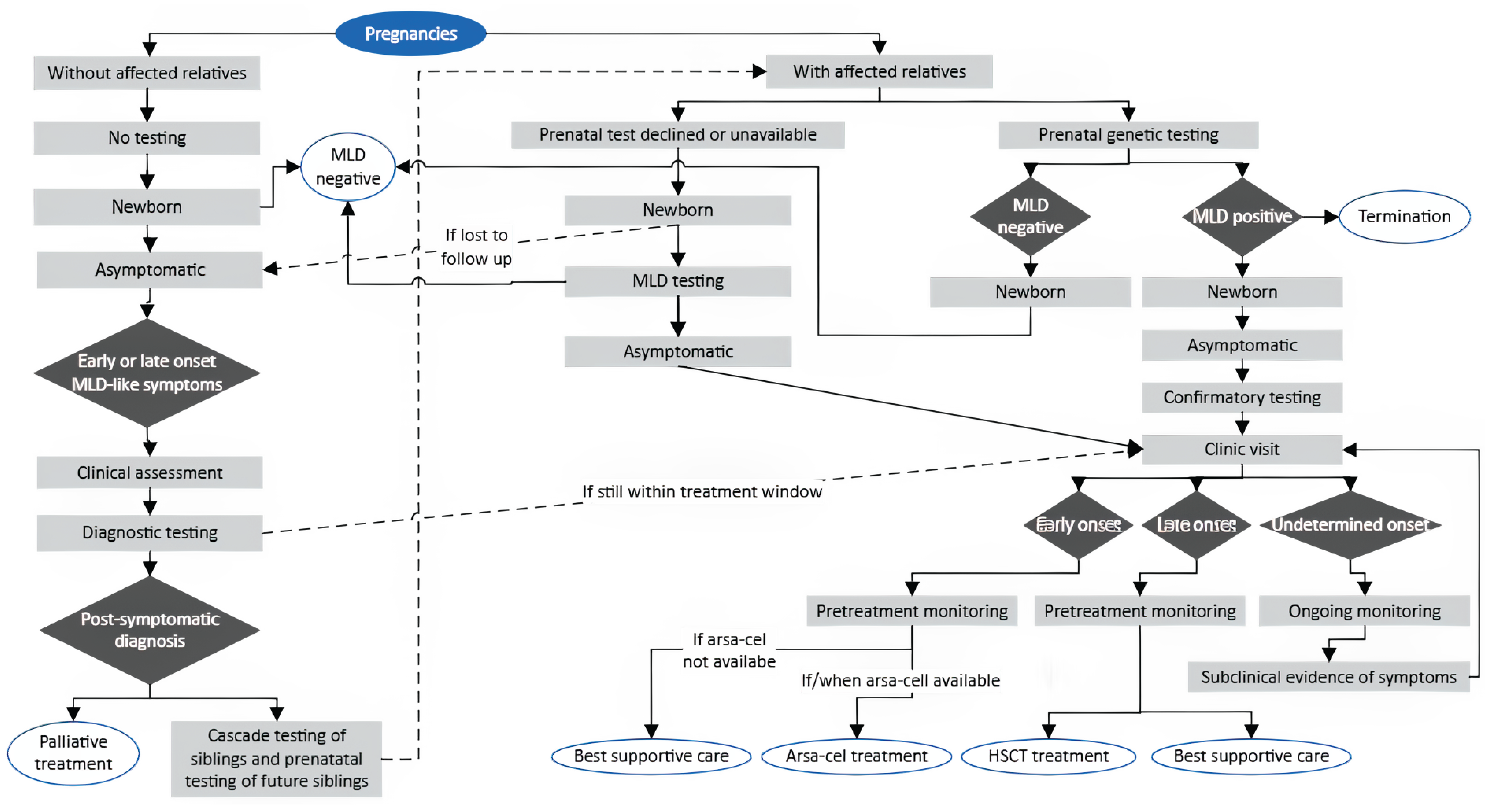 Flow chart showing the current diagnostic pathway for MLD in Canada, from pregnancy — with or without affected relatives — to symptom onset, clinical assessment, confirmatory testing, and treatment options.