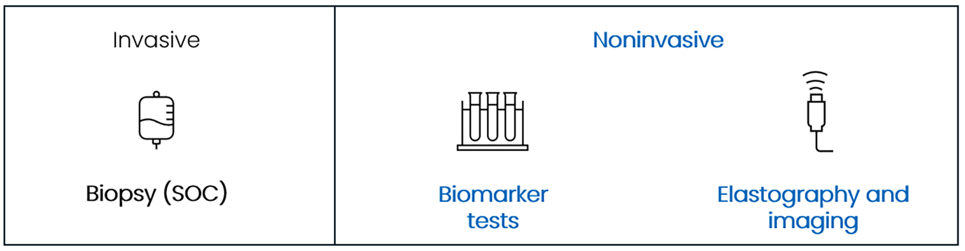 Diagnostic approaches for evaluating steatosis (fat accumulation) and fibrosis (scarring) in the liver, illustrating that available tests include biopsy (which is the standard of care for diagnosis) as the most invasive option and noninvasive biomarker and imaging options.