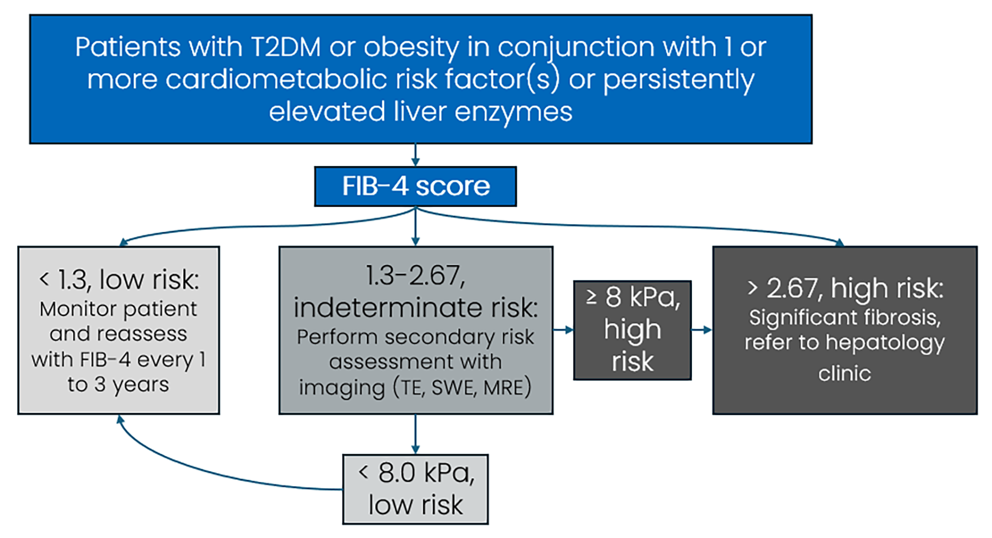 Flowchart showing risk stratification using the FIB-4 score. The diagram begins with calculation of the FIB-4 score, followed by 3 pathways: low risk (<1.3), indeterminate risk (1.3 to 2.67), and high risk (>2.67). Patients at low risk are directed to routine monitoring every 1 to 3 years. Patients at indeterminate risk are directed to further assessment with imaging or liver stiffness testing. If the liver stiffness result is 8 kPa or greater, or if the patient is initially at high risk, they are referred to a hepatology clinic.