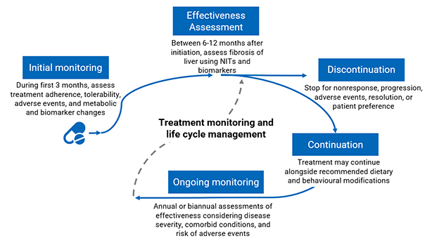 Life cycle of MASH disease-modifying therapy management with 5 phases: initial monitoring in the first 3 months to check for adherence, tolerability, and adverse events, and to track changes; effectiveness assessment at 6 to 12 months using noninvasive tests and laboratory markers; ongoing annual or biannual monitoring based on disease severity and comorbidities; and decisions about continuation or discontinuation based on nonresponse, progression, safety concerns, or patient preference, with follow-up and lifestyle support throughout treatment.