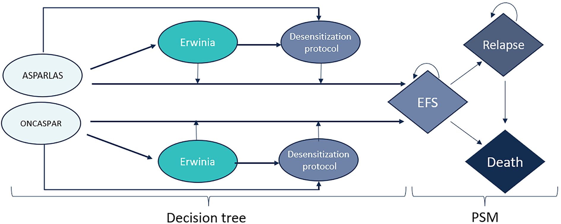 Depicts the sponsor’s model structure, where people on treatment go through the Erwinia asparaginase phase and desensitization protocol in the decision-tree, to enter the partitioned survival model in event-free survival. A person can remain in the event-free survival state or experience relapse or death. Once a person experiences relapse, they can remain in the relapse state or die.
