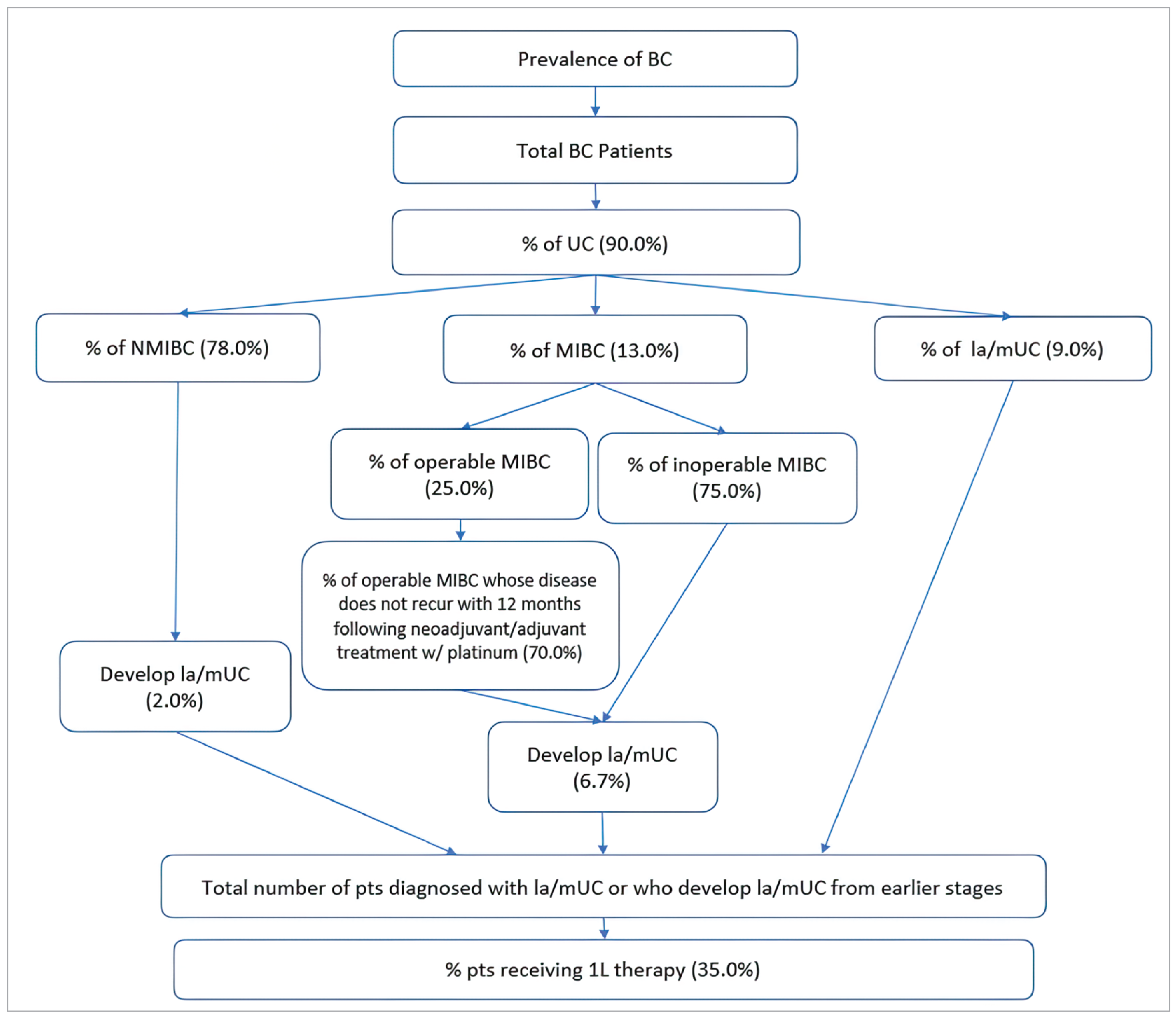 A flow chart that begins with “prevalence of BC,” flowing into “total BC patients,” then “% of UC (90.0%).” The chart then splits into 3 branches: “% of NMIBC (78.0%),” “% of MIBC (13.0%),” and “% of locally advanced or metastatic UC (9.0%).” The first branch, “% of NMIBC (78.0%),” flows into “Develop locally advanced or metastatic UC (2.0%).” The second branch, “% of MIBC (13.0%),” further sub-branches into “% of inoperable MIBC (75%)” and “% of operable MIBC (25%).” The latter sub-branch flows into “% of operable MIBC whose disease does not recur with 12 months following neoadjuvant/adjuvant treatment w/ platinum (70%),” and both sub-branches then flow into “Develop la/mUC (6.7%).” All branches flow into “Total number of patients diagnosed with la/mUC or who develop la/mUC from earlier stages,” which finally flows into “% patients receiving 1L therapy (35.0%).”