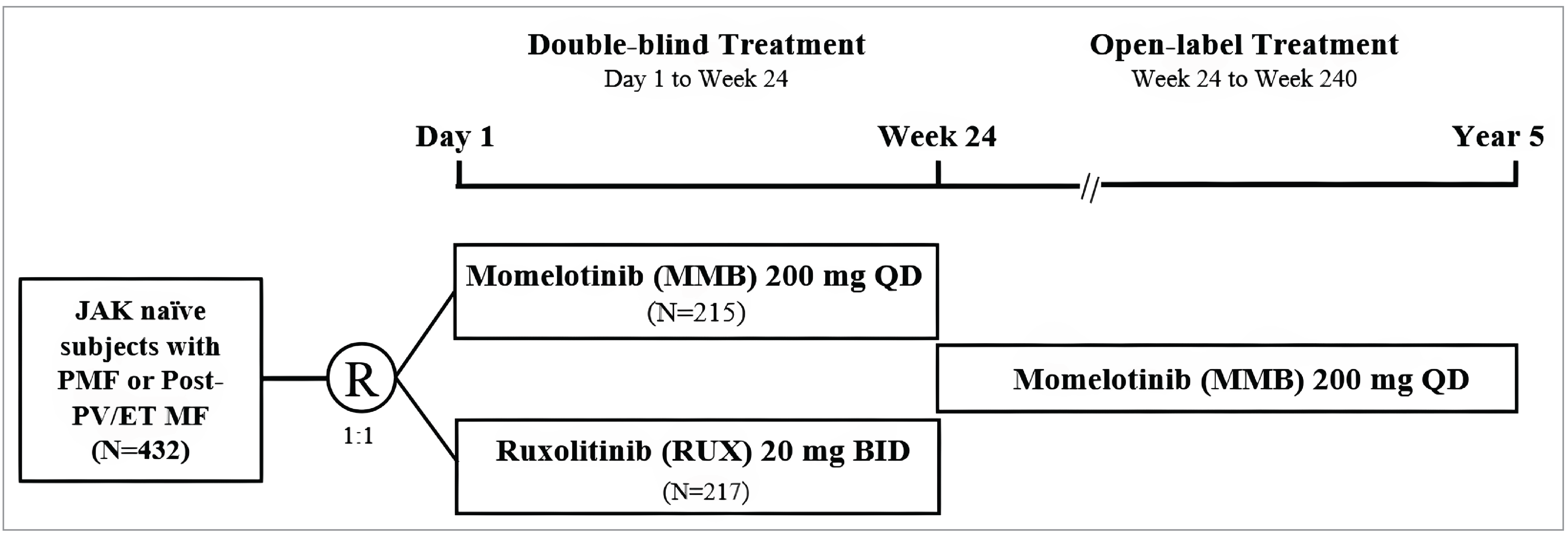 Schematic of the SIMPLIFY-1 clinical‑trial design. A left‑hand box reads “JAK‑naïve subjects with PMF or Post‑PV/ET MF (N = 432).” An arrow leads to a circle labelled “R” (randomization) with “1:1” beneath it, splitting into 2 horizontal bars for the 24‑week double‑blind phase (day 1 to week 24). A top bar read “Momelotinib 200 mg QD (N = 215).” The bottom bar read “Ruxolitinib 20 mg BID (N = 217).” At week 24 a vertical tick marks the start of the open‑label extension (week 24 to week 240, year 5). After a short break symbol, a single bar continues to the right, labelled “Momelotinib 200 mg QD,” indicating that all participants receive momelotinib during the extension.