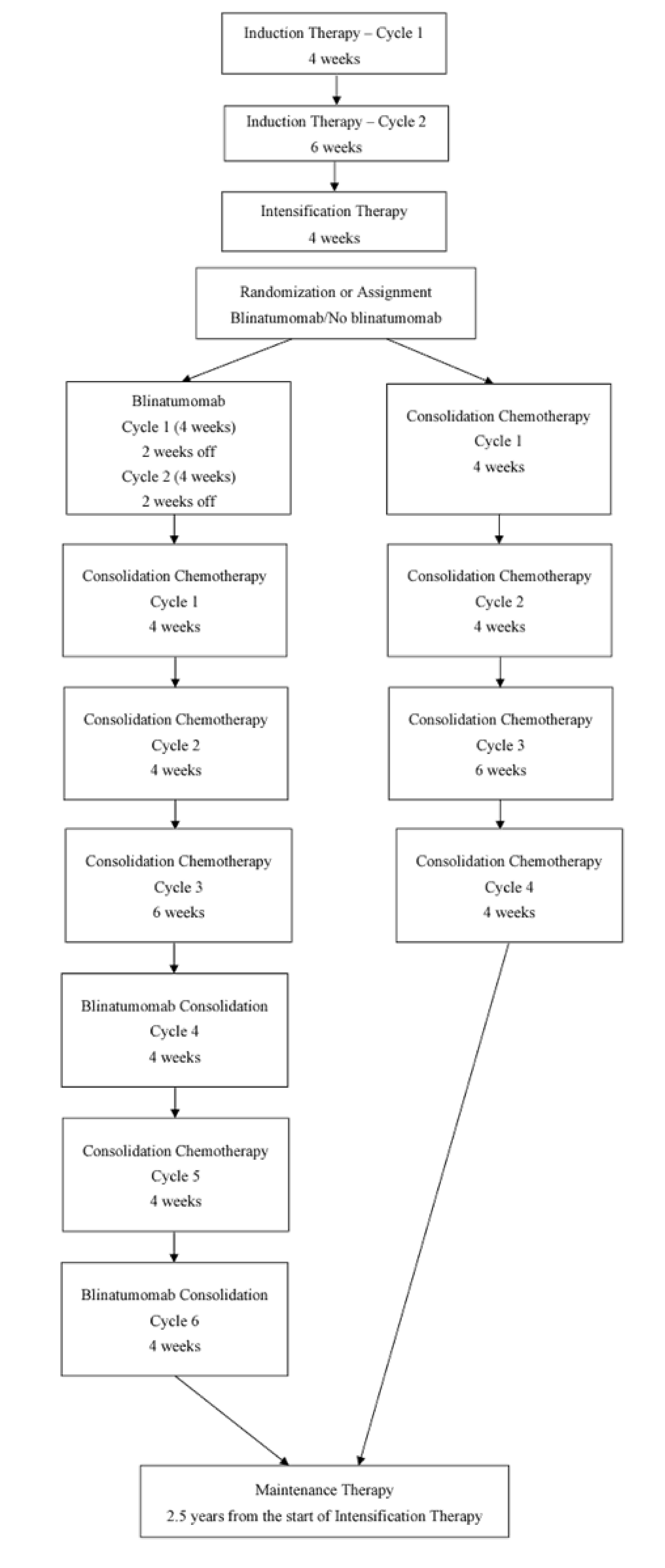 Flow chart of the movement of patients through the E1910 trial, from receipt of induction and intensification therapy to randomization or assignment to either the blinatumomab plus chemotherapy arm or chemotherapy for consolidation treatment, and finally maintenance treatment.