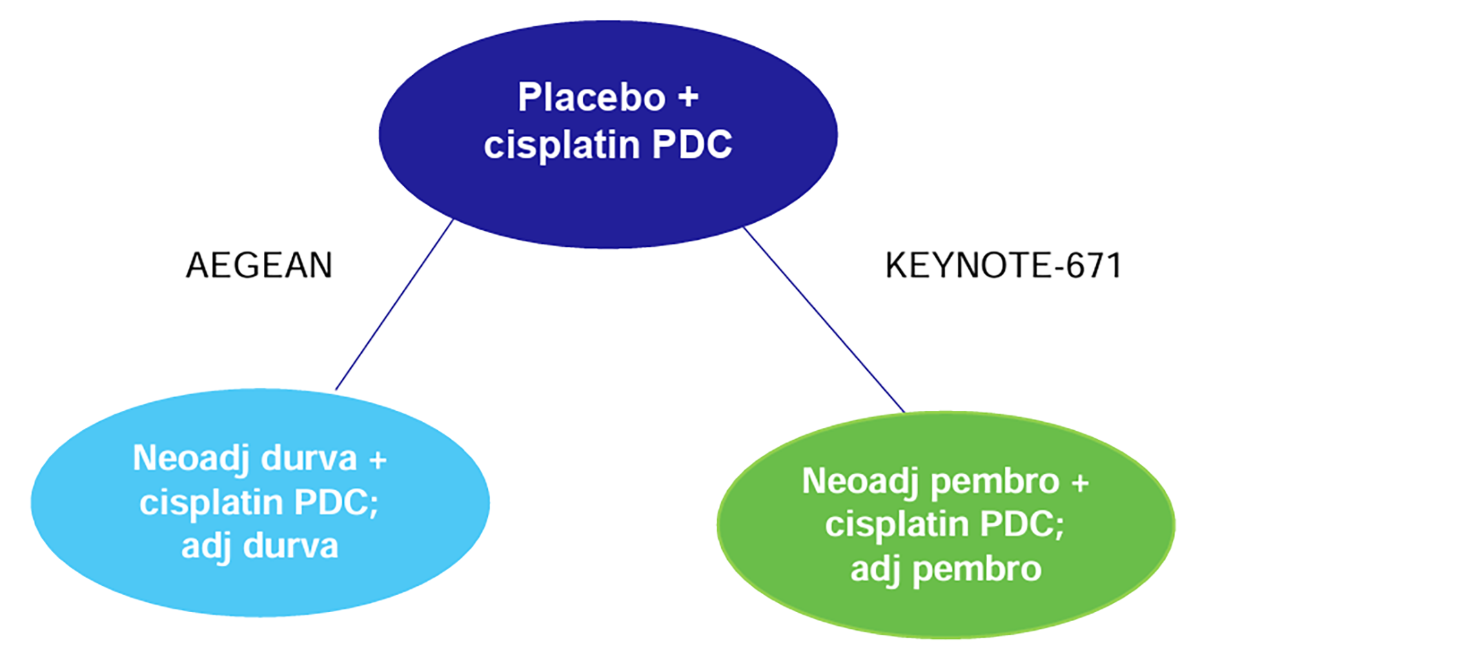This anchored diagram shows the matching-adjusted indirect comparison network linking the AEGEAN and KEYNOTE-671 studies through the common comparator of placebo plus cisplatin-based platinum-doublet chemotherapy. The AEGEAN study’s cisplatin subgroup evaluates neoadjuvant durvalumab plus cisplatin-based chemotherapy followed by adjuvant durvalumab, while the KEYNOTE-671 study evaluates neoadjuvant pembrolizumab plus cisplatin-based chemotherapy followed by adjuvant pembrolizumab.