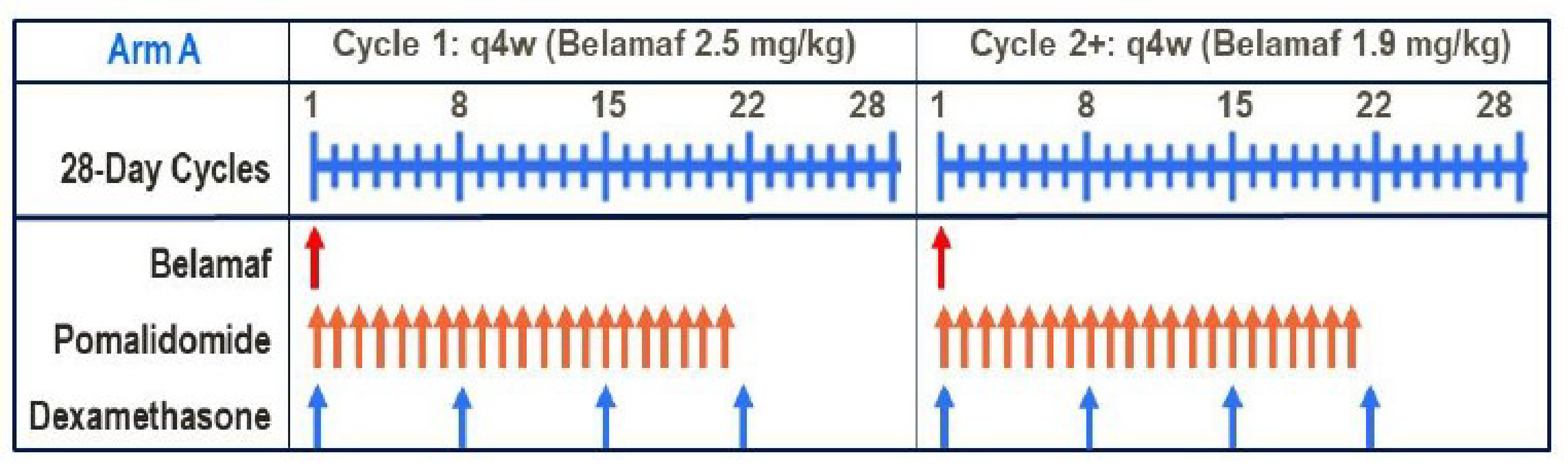The figure depicts the dosing schedule for the belantamab mafodotin, pomalidomide, and dexamethasone treatment arm. Belantamab mafodotin was administered intravenously at a single dose of 2.5 mg/kg on day 1 of cycle 1 and 1.9 mg/kg on day 1 of cycle 2 onward in each 28-day cycle. Pomalidomide 4 mg per day was administered orally on days 1 to 21 of each 28-day cycle. Dexamethasone 40 mg per day was administered orally on days 1, 8, 15, and 22 of each 28-day cycle.