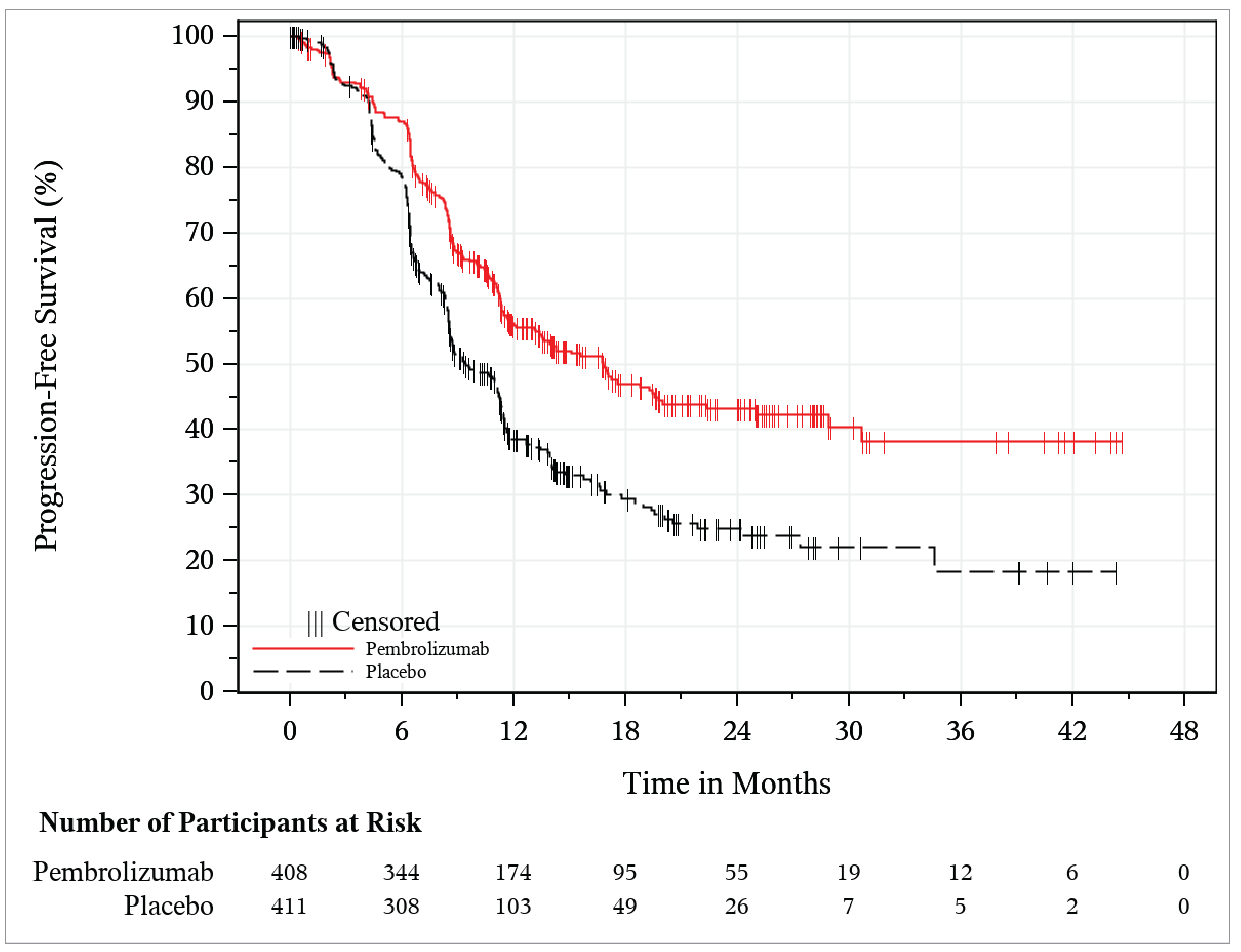 The KM curves begin to separate after approximately 3 months and remain separated thereafter in favour of pembrolizumab plus carboplatin-paclitaxel. The number of patients at risk was small after 30 months.