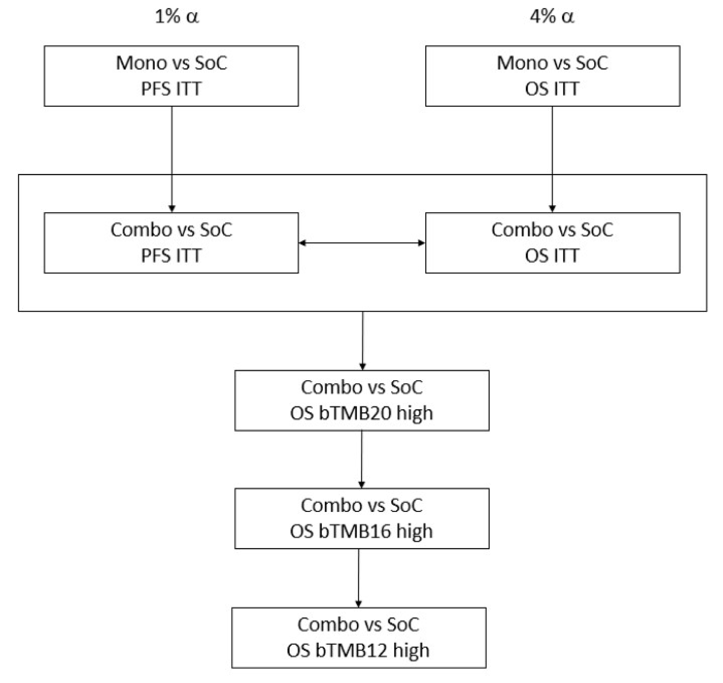 Figure 3 shows the multiple testing procedures for controlling the type I error rate in the POSEIDON trial. Testing was first performed for PFS and OS (both in the ITT population) for the durvalumab plus SOC chemotherapy versus SOC chemotherapy comparison, followed by PFS and OS (both in the ITT population) for the durvalumab and tremelimumab plus SOC chemotherapy versus SOC chemotherapy comparison, followed sequentially by OS in the bTMB20 high, bTMB16 high, and bTMB12 high groups, all for the durvalumab and tremelimumab plus SOC chemotherapy versus SOC chemotherapy comparison.