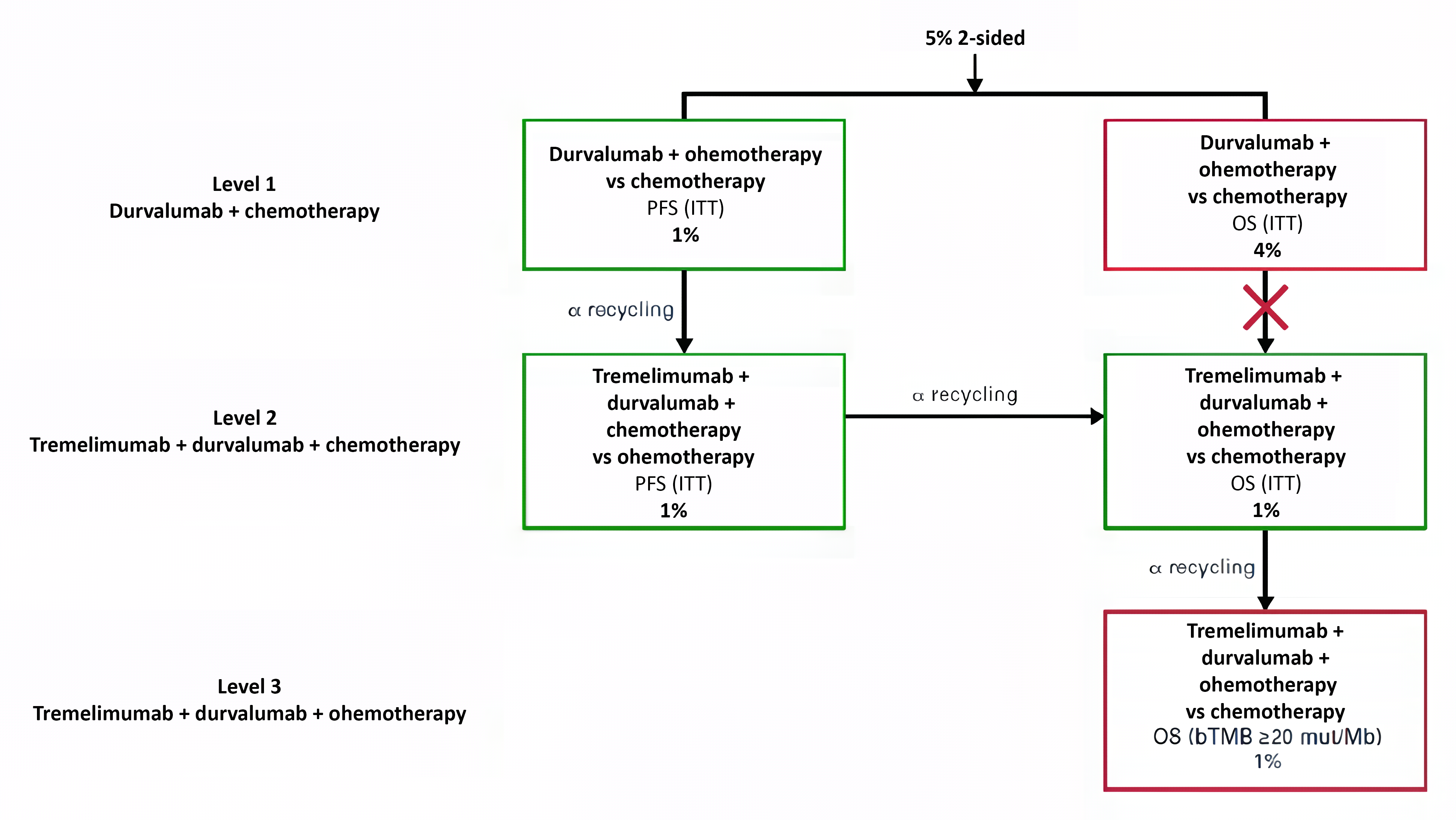 Figure 4 shows the multiple testing procedure at the final analysis in the POSEIDON trial. Testing was first performed for PFS and OS (both in the ITT population) for the durvalumab plus SOC chemotherapy versus SOC chemotherapy alone comparison, followed by PFS and then OS (both in the ITT population) for the durvalumab and tremelimumab plus SOC chemotherapy versus SOC chemotherapy alone comparison, followed by OS in the bTMB20 high group all for the durvalumab and tremelimumab plus SOC chemotherapy versus SOC chemotherapy alone comparison.