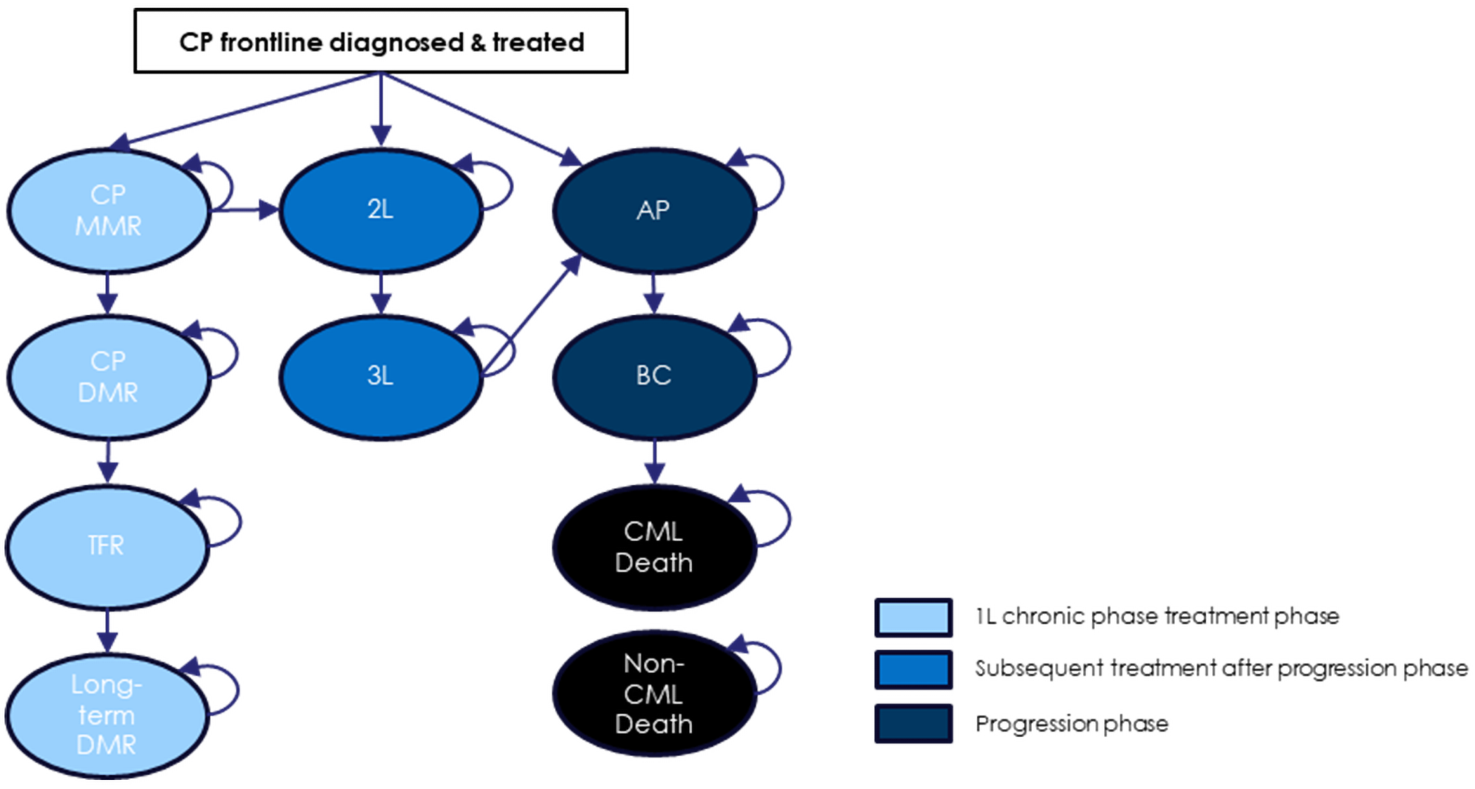 This figure depicts a Markov model with 11 health states representing the treatment and disease-progression pathway for patients with CML. Patients begin in CP on first-line therapy and may transition to CP with MMR, DMR, TFR, and long-term DMR. Alternatively, patients may move to 2L or 3L treatment, or progress to AP and then BC, which can lead to CML-related death. Transitions to non–CML-related death are possible from any state. Health states are colour-coded in the figure: light blue for CP, medium blue for subsequent treatment, dark blue for progression, and black for death. Arrows indicate allowed transitions between states.