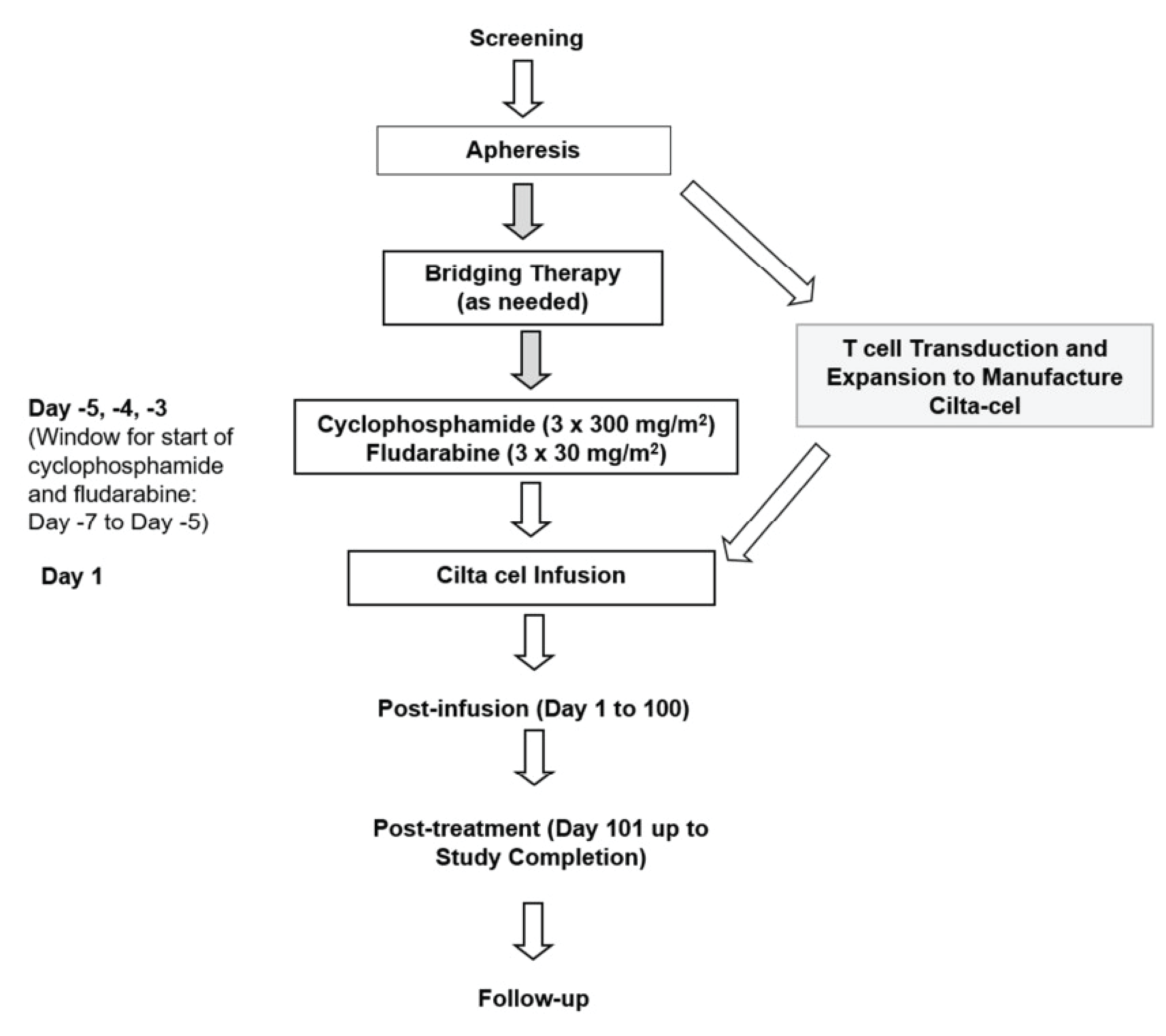 After enrolment, patients underwent apheresis, received bridging therapy as needed, received conditioning treatment, and then received the ciltacabtagene autoleucel infusion. Patients were followed up during the post-infusion period (day 1 to day 100); after day 101, they were followed up every 28 days until study completion, defined as 2 years after the last patient received their initial dose.