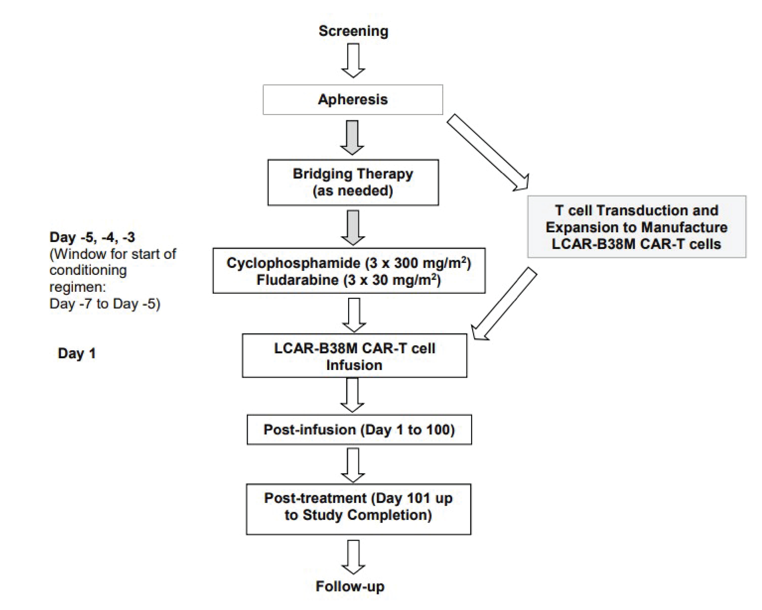 After enrolment, patients underwent apheresis, received bridging therapy as needed, received conditioning treatment, and then received the LCAR-B38M CAR T-cell infusion. Patients were followed up in the post-infusion period (day 1 to day 100) and post-treatment period (day 101 up to study completion).
