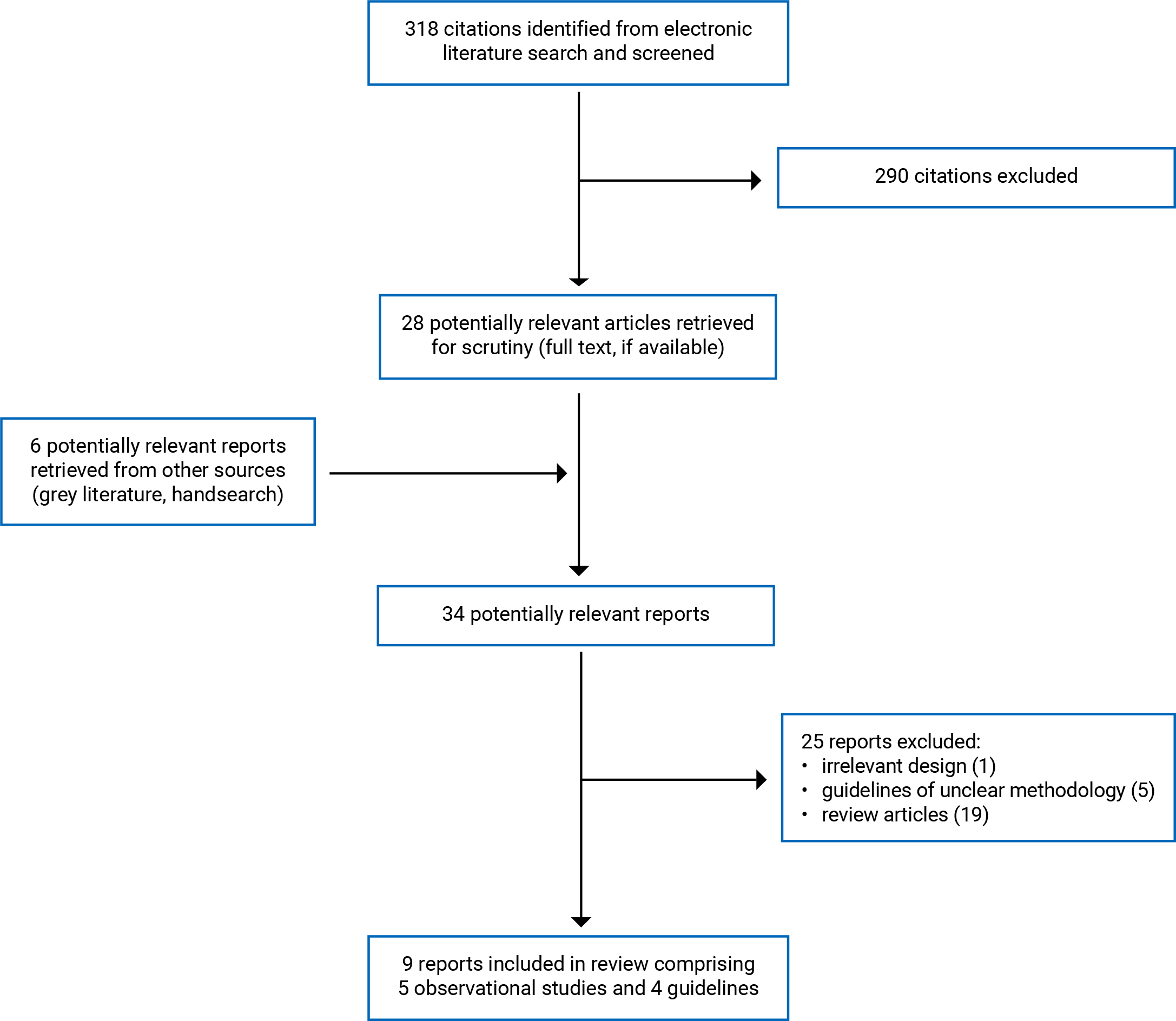 There were 318 citations identified, 290 were excluded, while 28 electronic literature and 6 grey literature potentially relevant full-text reports were retrieved for scrutiny. In total 9 reports are included in the review.