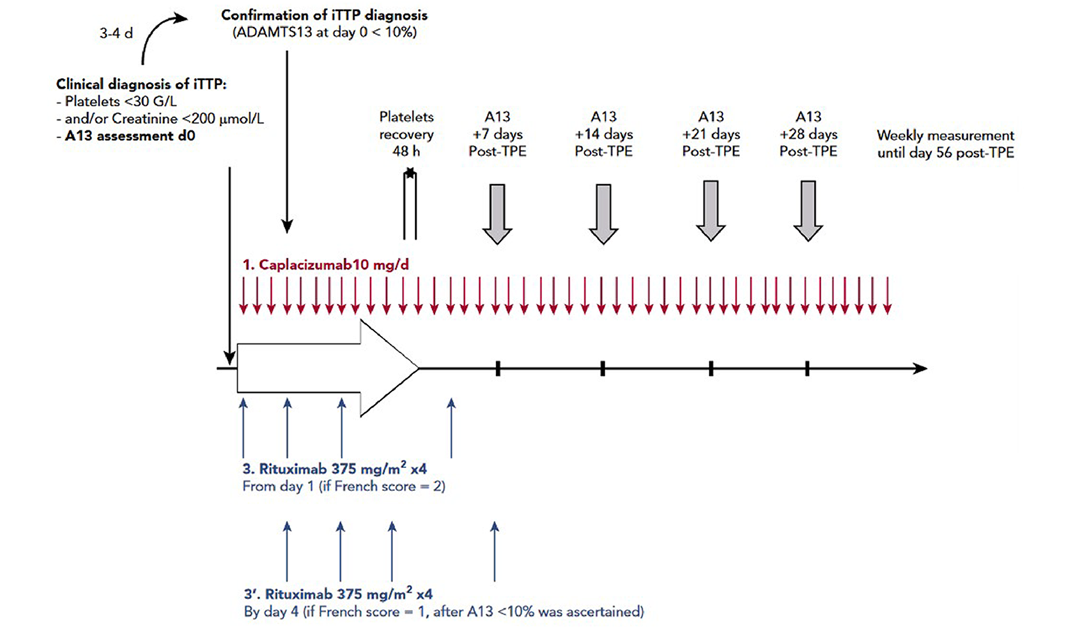Daily therapeutic plasma exchange, corticosteroids, and caplacizumab were started as soon as the clinical diagnosis of immune-mediated thrombotic thrombocytopenic purpura was suspected based on the French score. Rituximab (375 mg per square metre) was administered intravenously on a day 1, day 4, day 8, and day 15. It could be started from day 1 if the French score was highly suggestive for the diagnosis of immune-mediated thrombotic thrombocytopenic purpura (French score = 2) or alternatively by day 4 of the management once severe ADAMTS13 deficiency was ascertained (French score = 1). Caplacizumab was continued for 30 days after therapeutic plasma exchange cessation and could be extended until ADAMTS13 improvement (i.e., activity ≥ 20%). Therapeutic plasma exchange were performed daily until 2 days of a normal platelet count and interrupted with no maintenance.