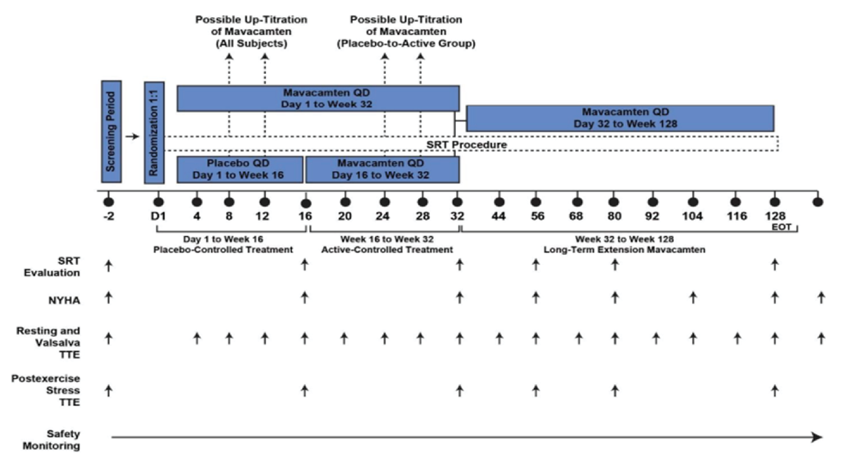 An overview of study design and key features of the VALOR-HCM trial including the screening period (2 weeks), placebo-controlled treatment period (16 weeks), active-controlled treatment period (16 weeks), LTE period (96 weeks), and post-treatment period (8 weeks).