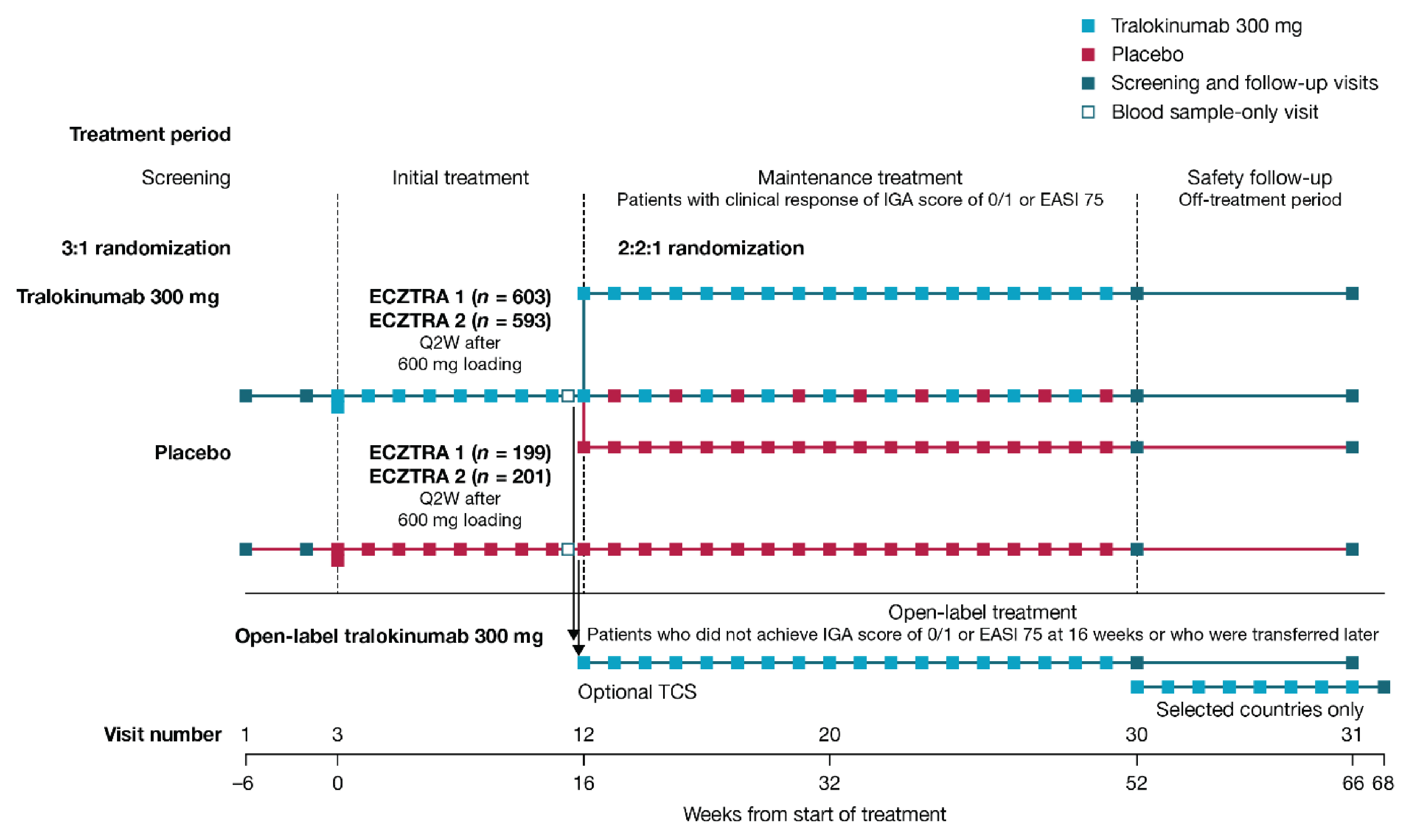 Enrolled patients (N = 802 in the ECZTRA 1 study; N = 794 in the ECZTRA 2 study) were randomized in a 3:1 ratio to either tralokinumab 300 mg every 2 weeks (N = 603 in the ECZTRA 1 study; 593 in the ECZTRA 2 study) or placebo every 2 weeks (N = 199 in the ECZTRA 1 study; 201 in the ECZTRA 2 study) in the 16-week initial treatment period. In the 36-week maintenance treatment period, patients in the tralokinumab group who achieved a clinical response at week 16 were re-randomized 2:2:1 to receive tralokinumab every 2 weeks, tralokinumab every 4 weeks, or placebo every 2 weeks. Patients who did not achieve a clinical response at week 16, as well as patients who did not maintain an adequate clinical response during the maintenance treatment period were transferred to open-label tralokinumab every 2 weeks with optional use of TCS. Patients randomized to the placebo group in the initial treatment period who achieved a clinical response at week 16 continued to receive placebo every 2 weeks in the maintenance treatment period. Upon completion of assigned treatment, patients were followed for safety assessment in the safety follow-up period until week 66.