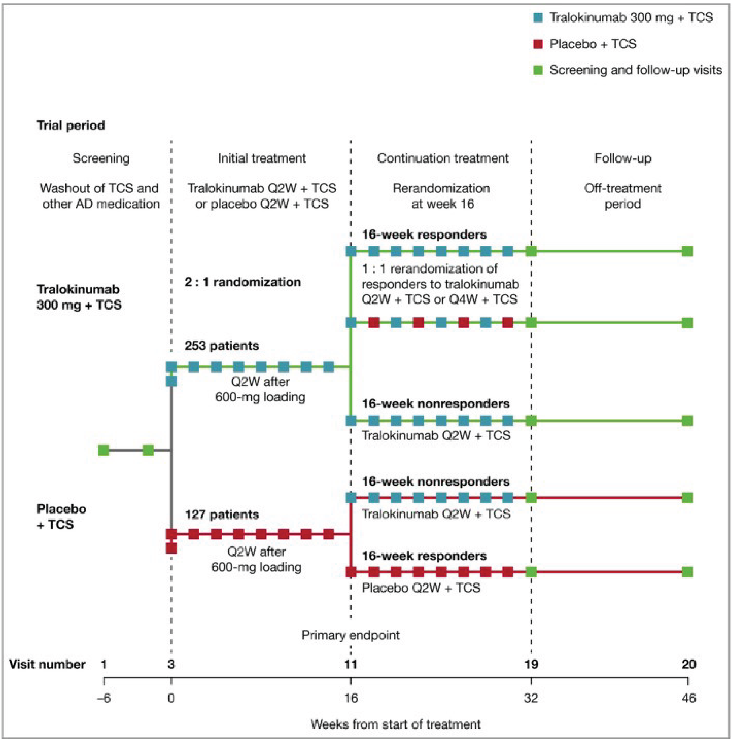 A total of 380 enrolled patients were randomized 2:1 to receive either tralokinumab 300 mg (N = 253) or placebo (N = 127) every 2 weeks in the 16-week initial treatment period. Patients who were assigned to the tralokinumab group in the initial treatment period and had a clinical response at week 16 were re-randomized in 1:1 ratio to either tralokinumab every 2 weeks or tralokinumab every 4 weeks. Patients who received placebo in the initial treatment period and had a clinical response at week 16 continued to receive placebo every 2 weeks. Patients randomized to tralokinumab or placebo in the initial treatment period who did not have a clinical response at week 16 were allocated to receive tralokinumab every 2 weeks in the continuation treatment period. Upon completion of assigned treatment, patients were followed for safety assessment in the safety follow-up period until week 46.