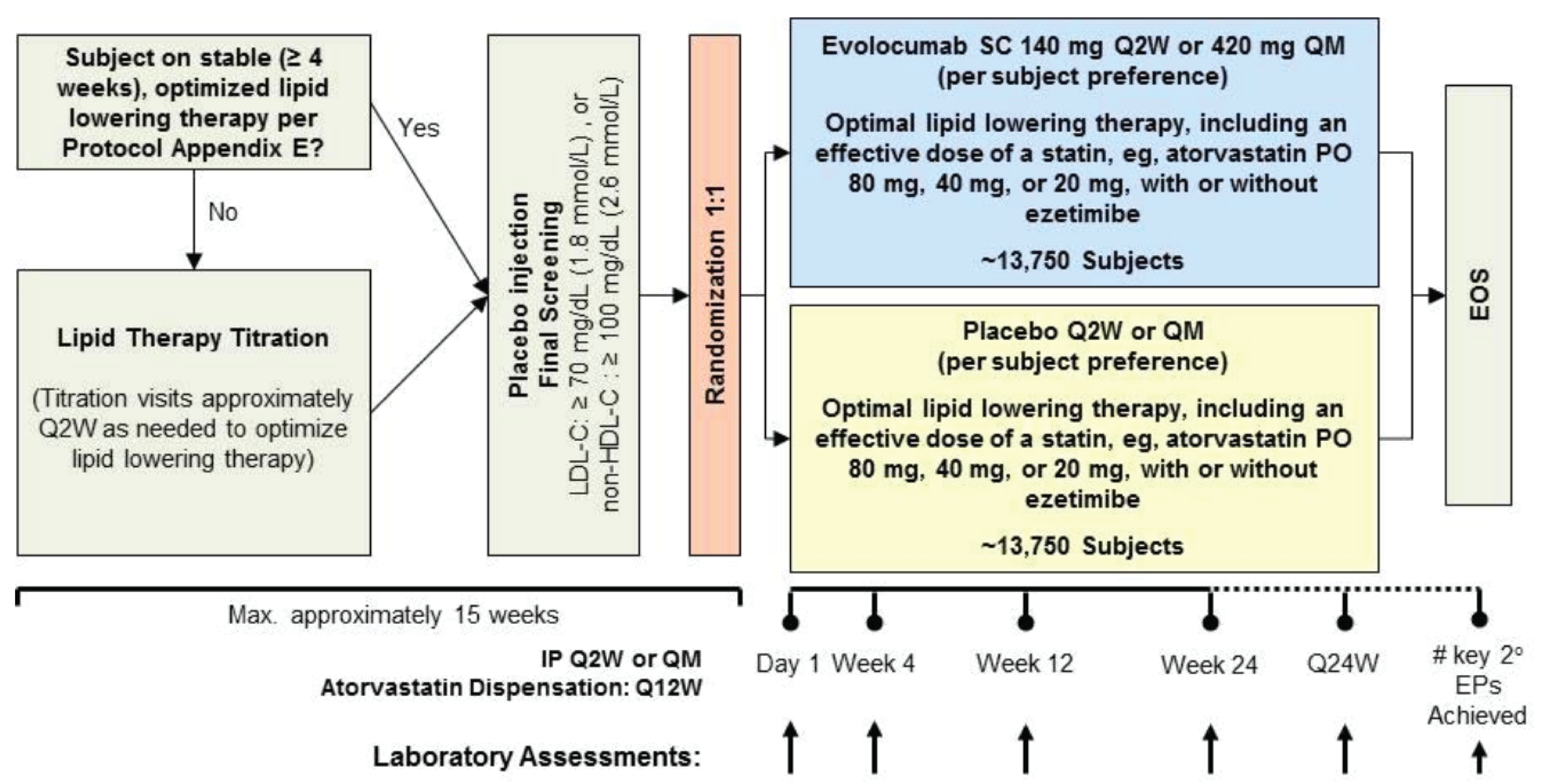 Patients who were taking stable, optimized, lipid-lowering therapy at screening with no planned or anticipated changes for the duration of the trial proceeded directly to the final screening visit. For patients who required a change in lipid-lowering therapy, their dose was titrated until their lipid levels were considered optimally managed; these patients could be randomized after at least 4 weeks of stable therapy. Eligible patients were randomized in a 1:1 ratio to receive either subcutaneous evolocumab or matching placebo injection, in addition to optimized, background lipid-lowering therapy. Treatment continued until a minimum of 1,630 patients experienced a key secondary end point event of cardiovascular death, myocardial infarction, or stroke.