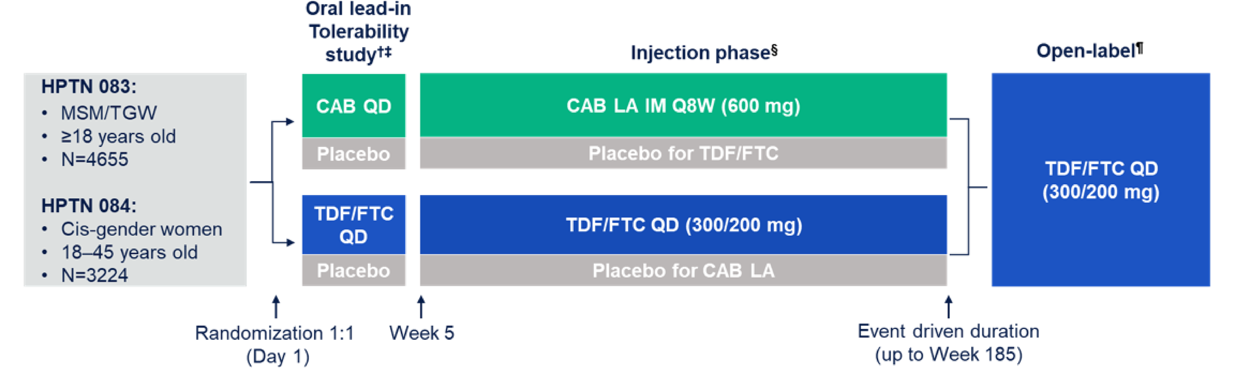 Figure 1 presents the study design of the HPTN 083 and HPTN 084 trials. Participants were randomized in a 1:1 ratio. The study designs consisted of an oral lead-in tolerability phase, where participants received oral cabotegravir and placebo or oral TDF/FTC and placebo, and an injection phase where cabotegravir LA IM injections plus placebo TDF/FTC or oral TDF/FTC and placebo IM injection of cabotegravir LA were administered, followed by an open-label phase where TDF/FTC was to be administered.