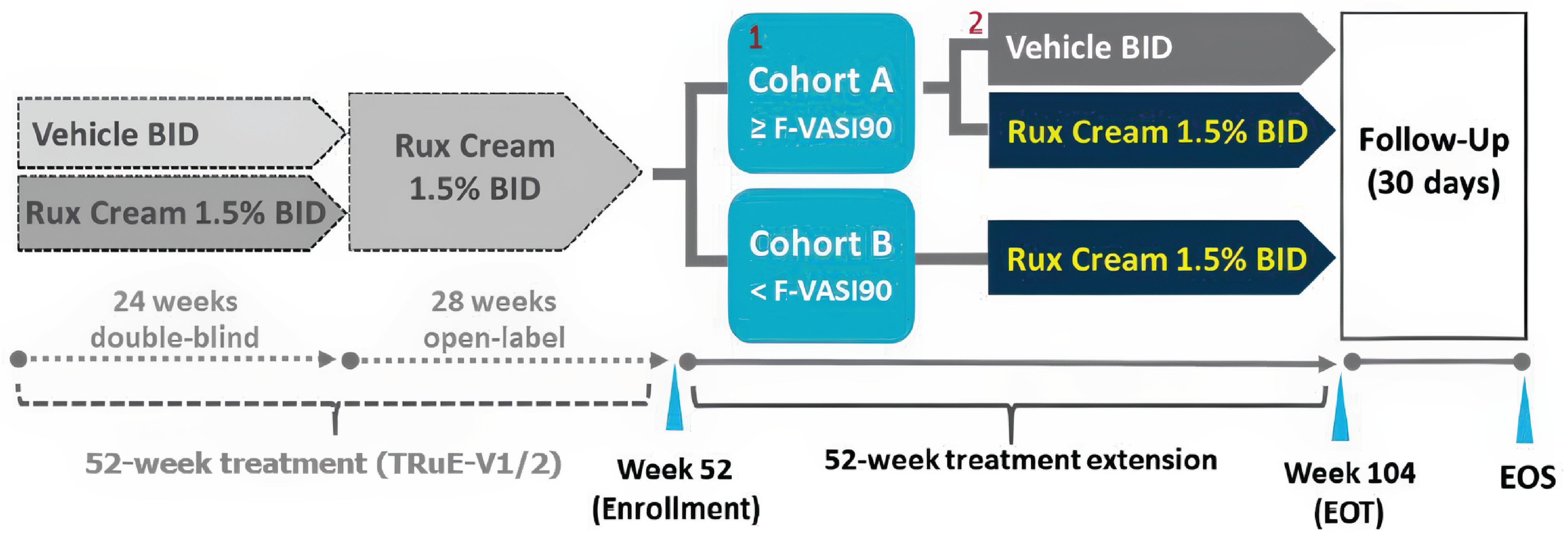 Schematic of the TRuE-V LTE study of the TRuE-V1 and TRuE-V2 trials. Participants are divided into 2 cohorts: cohort A with greater than or equal to a 90% improvement in F-VASI, and cohort B with less than a 90% improvement. Both cohorts continue with ruxolitinib cream 1.5% twice a day for a 52-week treatment extension, concluding at week 104 (end of treatment) with a 30-day follow-up.