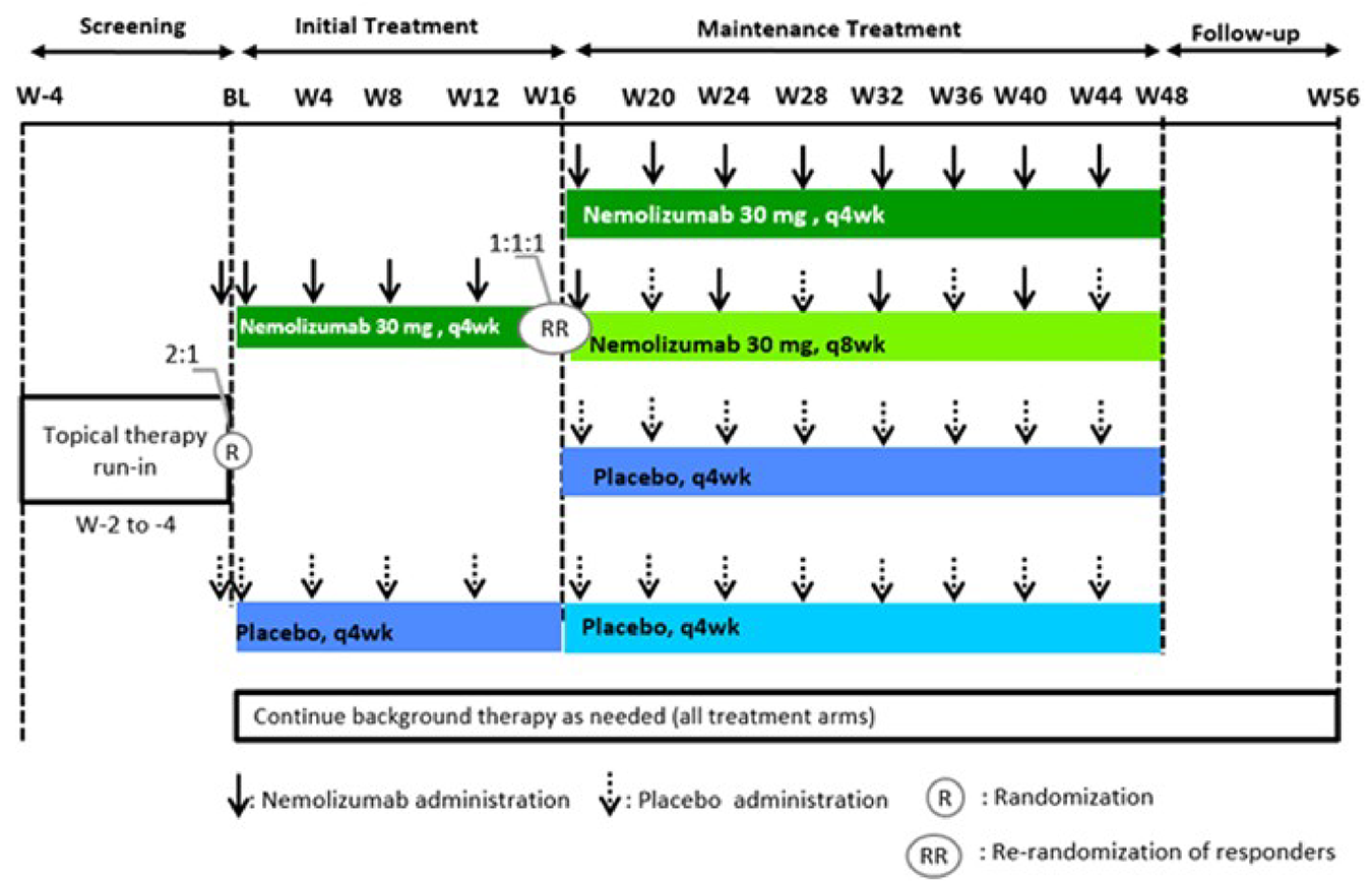 The ARCADIA 1 and ARCADIA 2 studies consisted of a 4-week screening period with topical therapy run-in, followed by randomization to either nemolizumab or placebo for 16 weeks. Patients who met the study definition of clinical responder were rerandomized to receive either nemolizumab every 4 weeks, nemolizumab every 8 weeks, or placebo every 4 weeks for an additional maintenance phase until 48 weeks; patients originally randomized to receive placebo every 4 weeks continued to receive the same treatment.