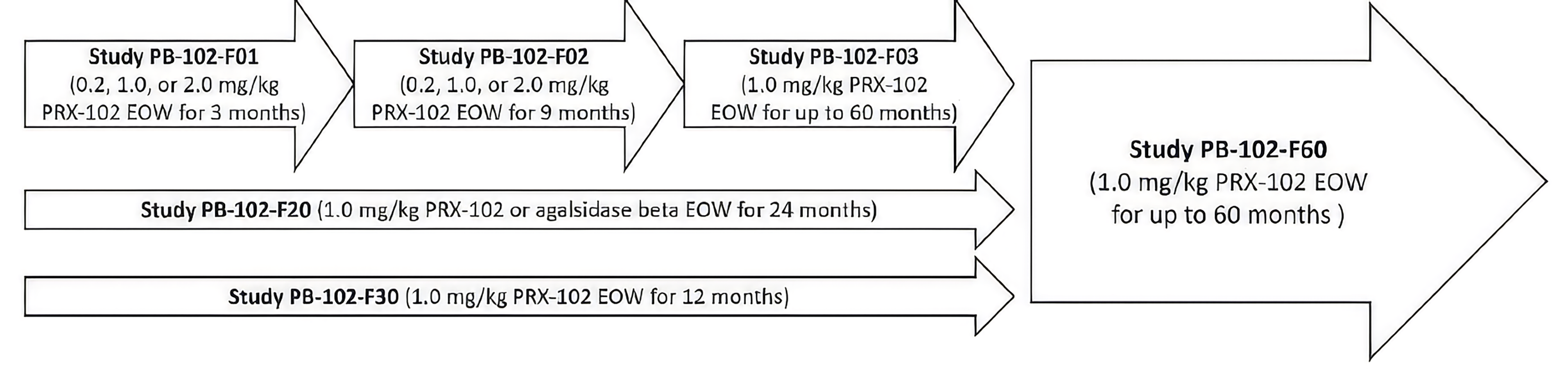 Flow chart showing how patients move from earlier studies to PB-102-F60 (the F60 study). PB-102-F01 and PB-102-F02 (the F01 and F02 studies) were dose-ranging studies, PB-102-F03 (the F03 study) was an open-label extension study, PB-102-F20 (the BALANCE trial) was a noninferiority study of pegunigalsidase alfa versus agalsidase beta, and PB-102-F30 (the BRIDGE study) was a switch-over study from agalsidase alfa to pegunigalsidase alfa. Patients from these studies were able to participate in the F60 study, an open-label extension study.