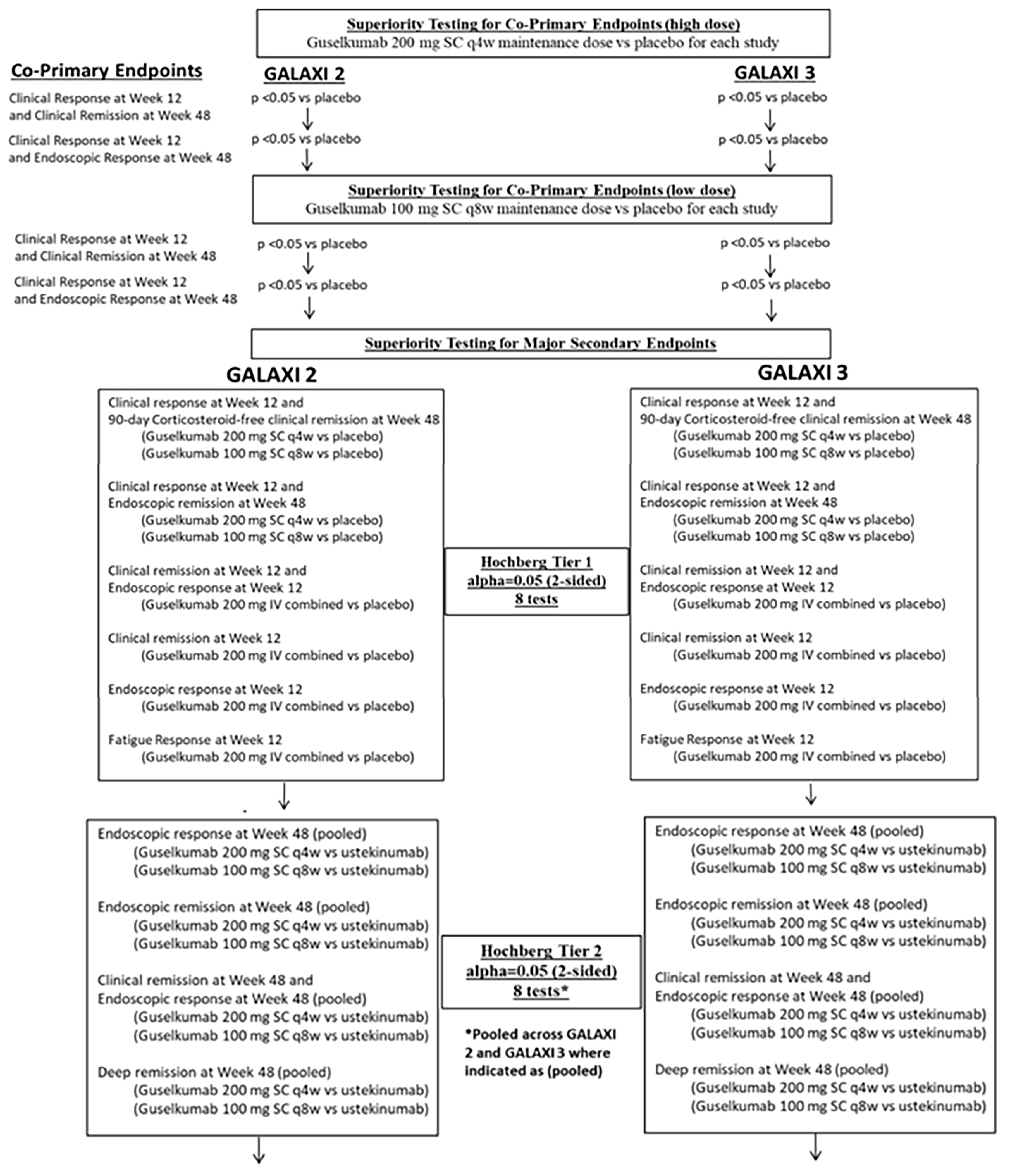Flow chart showing testing procedure began with sequential tests (within each phase III trial) to assess the superiority of each guselkumab dose group compared with placebo for the coprimary end points at the 2-sided significance level of 0.05 for each trial. If all P values were significant, after testing of the coprimary end points, the testing procedure continued with superiority tests for the secondary end points. The secondary end points in both GALAXI trials were grouped into 5 tiers. For the coprimary and secondary end points in tier 1, tier 4, and tier 5, the study hypotheses were tested separately within each of the GALAXI 2 and GALAXI 3 trial. For the secondary end points in tier 2 and tier 3, the hypotheses were tested for data pooled across both trials.