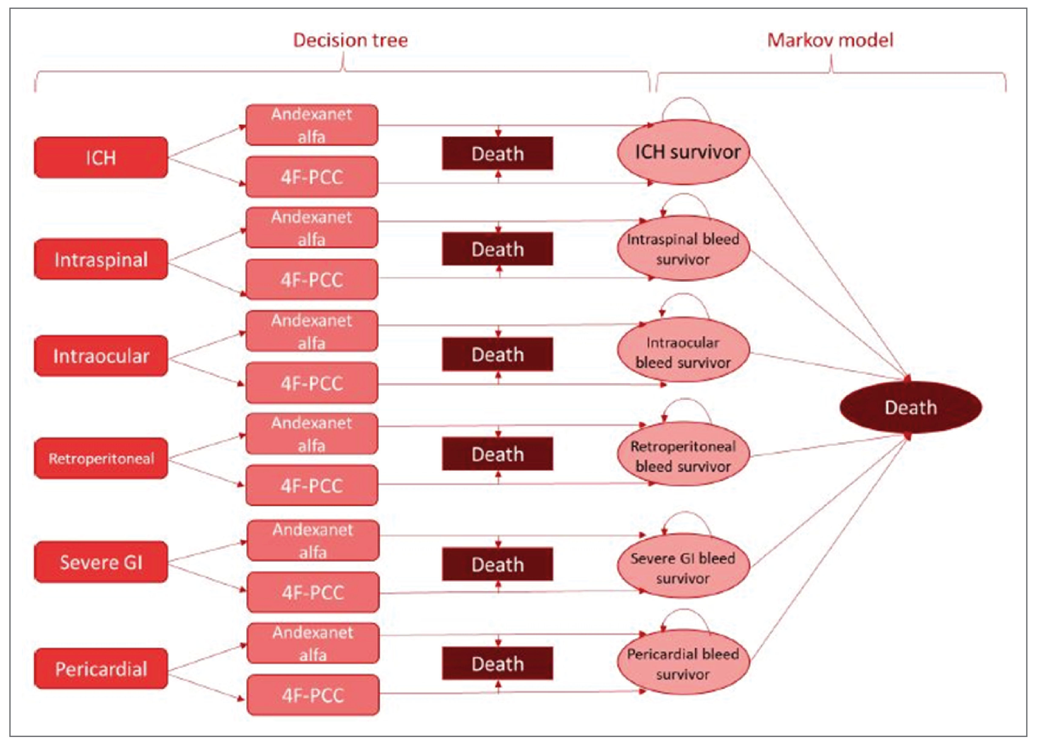 A figure describing the sponsor‘s submitted model structure of a decision tree plus Markov model. In the decision tree, patients required rapid reversal of anticoagulation due to major bleeding including from ICH, intraspinal, intraocular, retroperitoneal, GI, or pericardial bleeding. Patients either receive andexanet alfa or 4F-PCC and then either transition to the death health state or survive and proceed to the Markov model. All bleed survivors remain in their health state or transition into the death health state.