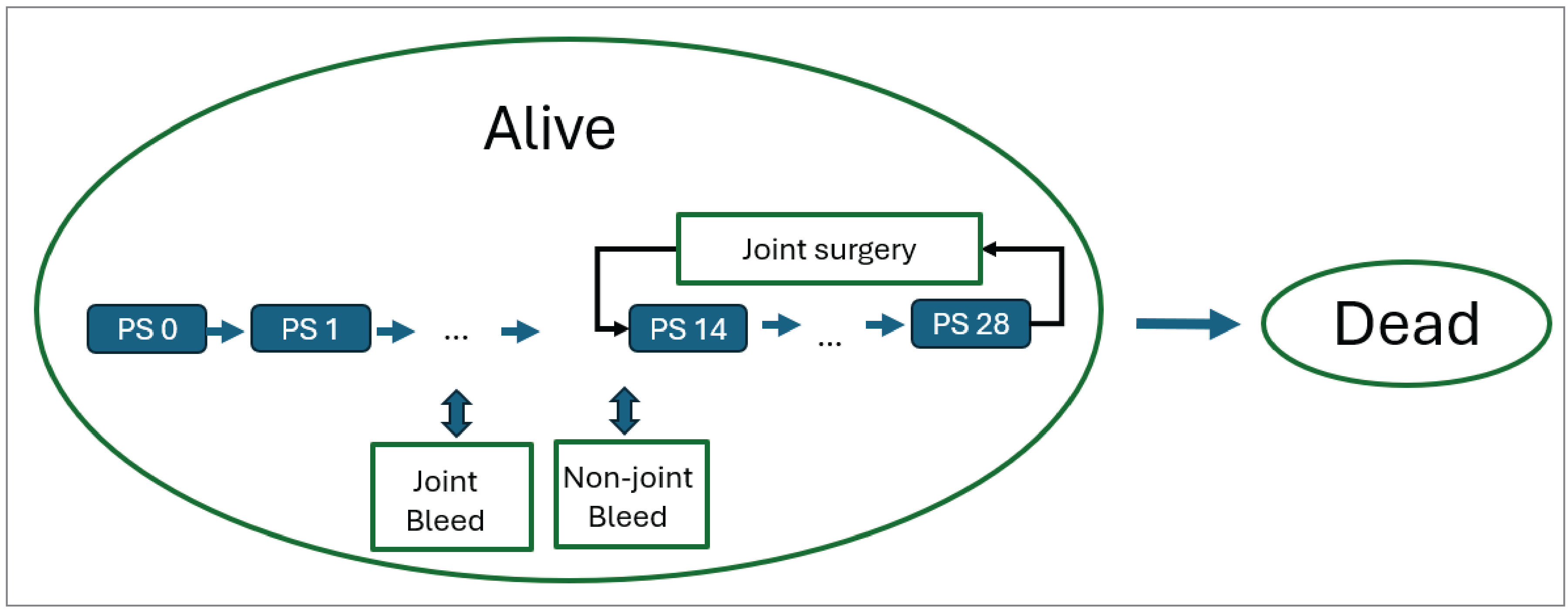 This Markov model includes 2 health states: alive and dead. There are possible transitions within and between health states over each cycle. Death is as an absorbing state. Within the alive state are transitions between PS scores as well as transitions from certain PS scores (PS 14 to PS 28) to joint surgery, and from any PS score to joint bleeds and nonpoint bleeds. Patients can move within the alive health state through PS scores, bleed events, and surgery, and patients can move out of the alive state to the dead state.