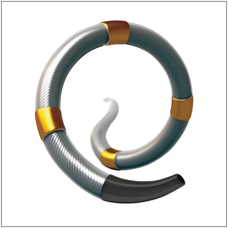 Digital illustration of the flexible, multielectrode catheter component of the Simplicity Spyral renal denervation system.