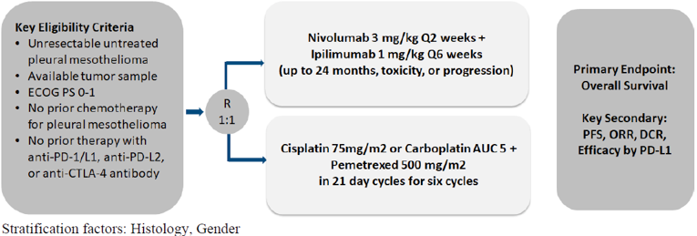 The figure depicts the study eligibility criteria and the flow of patients from randomization into the treatment arms: nivolumab 3 mg/kg every 2 weeks plus ipilimmab 1 mg/kg every 6 weeks for up to 24 months, signs of toxicity, or disease progression, or cisplatin 75 milligram per meter squared or carboplatin AUC 5 plus pemetrexed 500 milligram per meter squared in 21 day cycles for 6 cycles.