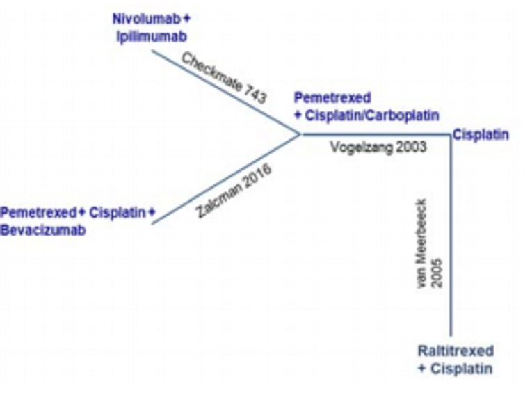The network has an asymmetric geometry. The central node is cisplatin or carboplatin plus pemetrexed. Three nodes are connected to the central one: nivolumab plus ipilimumab (1 study), pemetrexed plus cisplatin plus bevacizumab (1 study), and cisplatin (1 study). A node for raltitrexed plus cisplatin is connected to the cisplatin node (1 study).