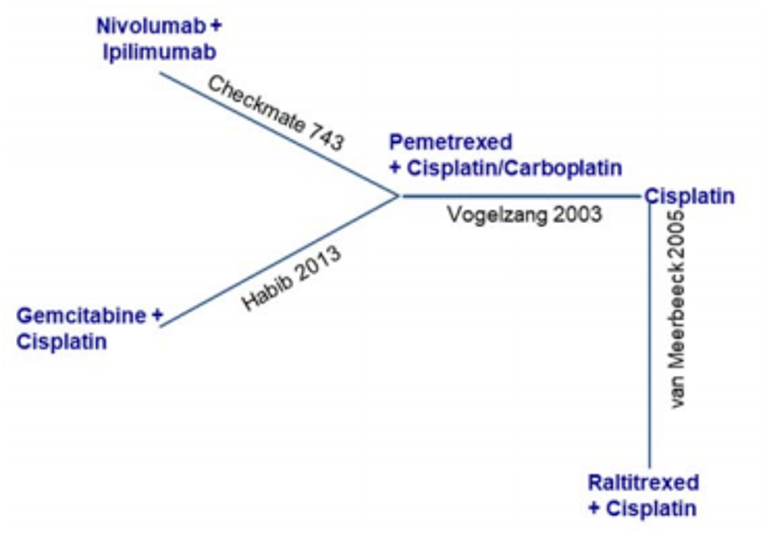 The network has an asymmetric geometry. The central node is cisplatin or carboplatin plus pemetrexed. Three nodes are connected to the central one: nivolumab plus ipilimumab (1 study), gemcitabine plus cisplatin (1 study), and cisplatin (1 study). A node for raltitrexed plus cisplatin is connected to the cisplatin node (1 study).