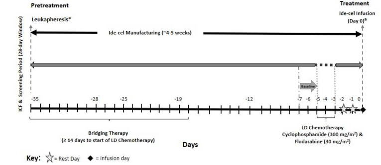 Depicts a flow of the study from pretreatment 35 days before initiation or manufacturing of the product to day zero when the ide-cel infusion takes place.