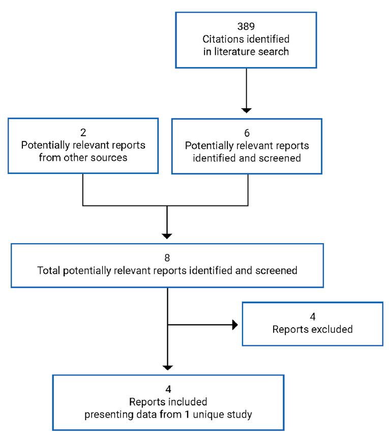 A total of 389 citations were identified. Of these, 383 citations were excluded, while 6 electronic literature and 2 grey literature potentially relevant full-text reports were retrieved for scrutiny. In total, 4 reports are included in the review.