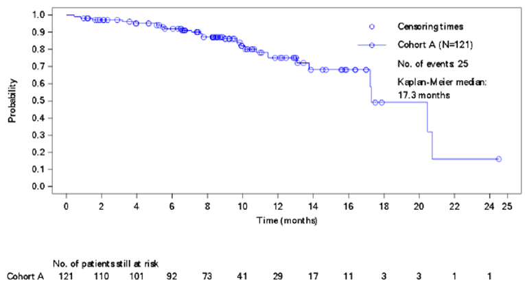 Kaplan-Meier plot of overall survival for cohort A of the BYLieve study, modified full analysis set. N = 121, number of events = 25, Kaplan-Meier estimate of median = 17.3 months.