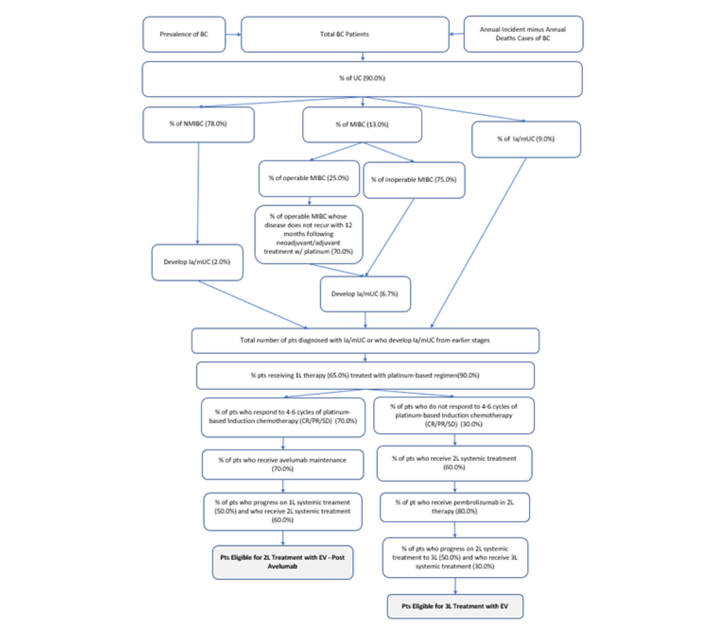 The population size was estimated using the prevalence and incidence of bladder cancer, followed by a series of stepwise attritions to specify the population size. The steps begin with the percentage of patients with urothelial cancer (90%), to the percentage of patients receiving first-line therapy (65%), to the number of patients eligible for second-line treatment with enfortumab vedotin, post avelumab, and third-line treatment with enfortumab vedotin.