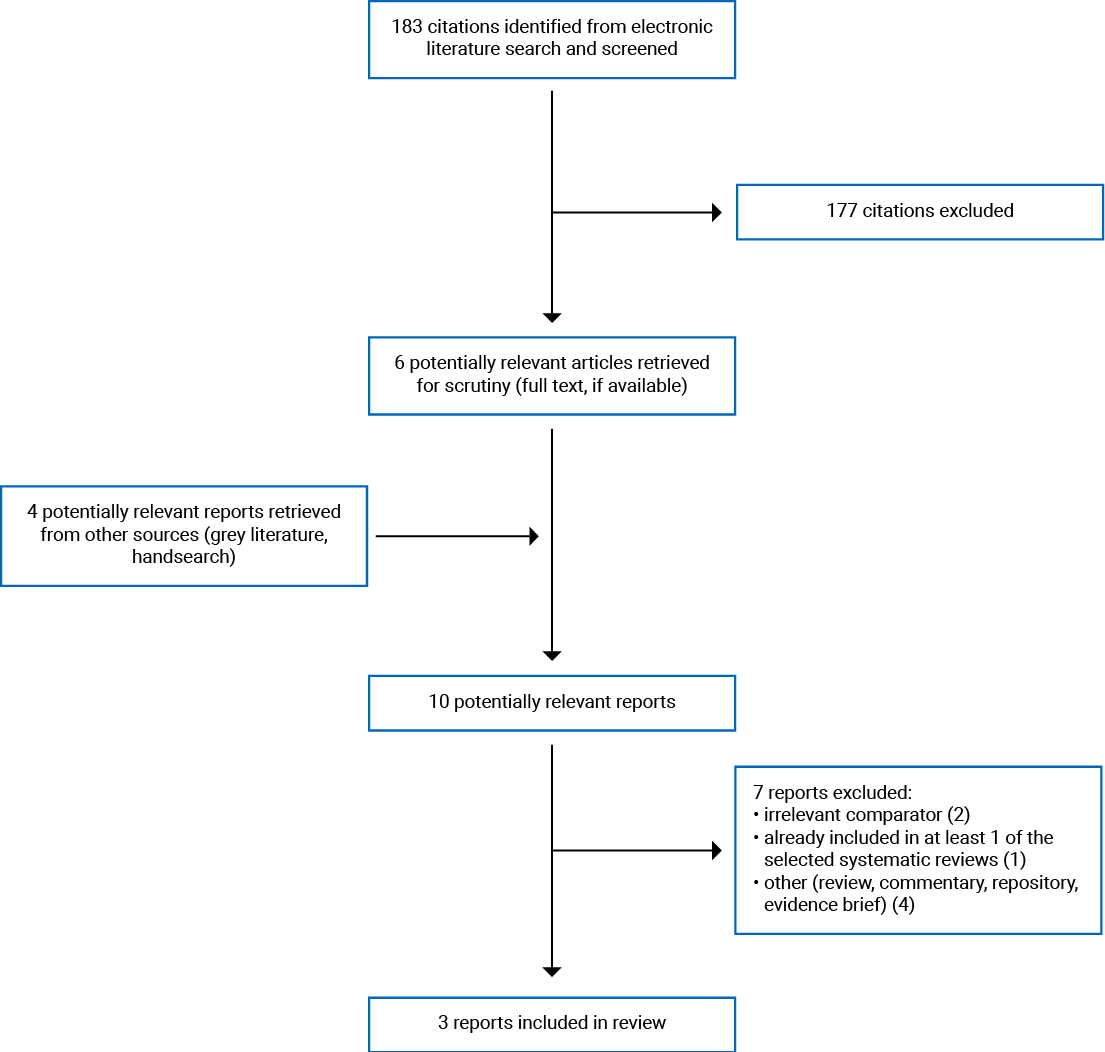 183 citations were identified, 177 were excluded, while 6 electronic literature and 4 grey literature potentially relevant full-text reports were retrieved for scrutiny. In total 3 reports are included in the review.