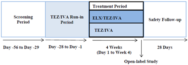 Study 103 consisted of a 28-day screening period, a 28-day open-label run-in period where all patients received TEZ 100 mg and IVA 150 mg once daily in the morning and IVA 150 mg in the evening, a 4-week double-blind treatment period, and a 28-day follow-up period. Patients who completed the 4-week treatment period could enrol the open-label extension study (Study 105) or enter the 28-day safety follow-up period.