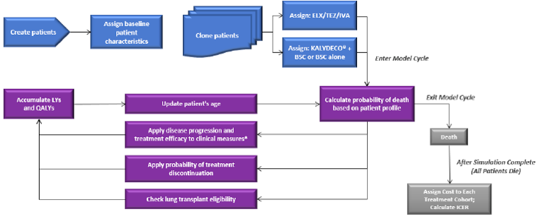 Model structure of the sponsor’s submitted pharmacoeconomic evaluation. Patients are first created and assigned baseline characteristics. They are cloned and assigned a treatment and then enter their first model cycle. A patient’s probability of death is calculated based on their patient profile, During each cycle, if a patient remains alive, their age, disease progression parameters, probability of treatment discontinuation and lung transplant eligibility are determined. Subsequently, patients accumulate life-years and QALYs. Once this has been completed for all patients, costs are then assigned